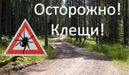 Пульс Города — 11.04.2019