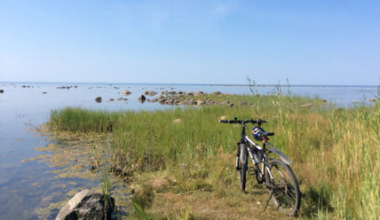 Подробности — 03.07.2019