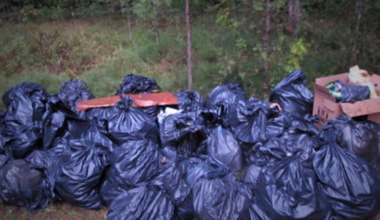 Дайджест новостей — 23.08.2019