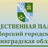 Вопросы и решения с заседания общественной палаты Сосновоборского городского округа