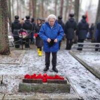 Войска ленинградского фронта прорвали оборону немцев