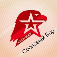 Итоги смены «Юнармии»