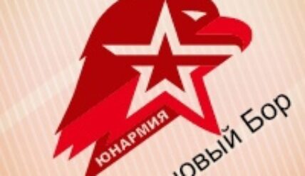 Итоги смены «Юнармии»