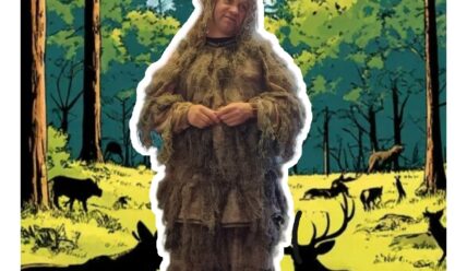 Как гулять в лесу без страха?