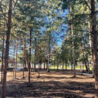 Голосуем за благоустройство