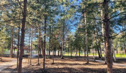 Голосуем за благоустройство