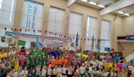 Зарядка вместо спячки