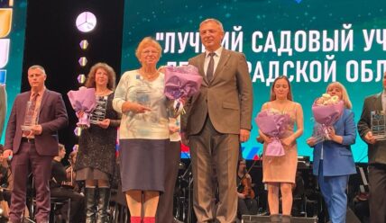 Лучший садовый участок у нас в городе