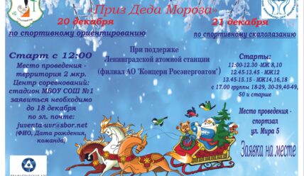 Кубок Деда Мороза