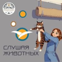 Слишком шумно, слишком ярко, слишком волнительно