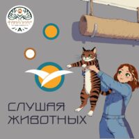 Переводим с языка «мяу» и «гав»