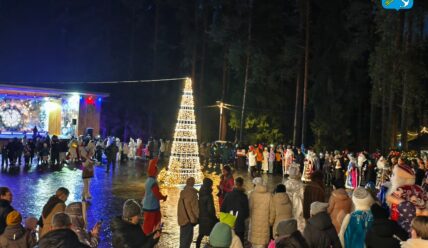 Предновогодний выпуск