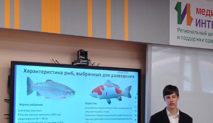 Лучшие бизнес-проекты школьников